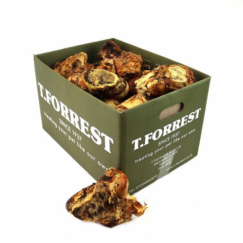 Forrest grandi ossa - t.forrest, |